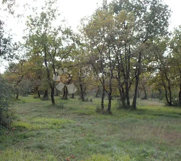 TOP LOKACIJA - blizina mora - Barbariga, Vodnjan