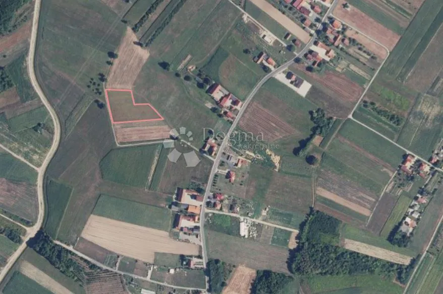 Fotografija