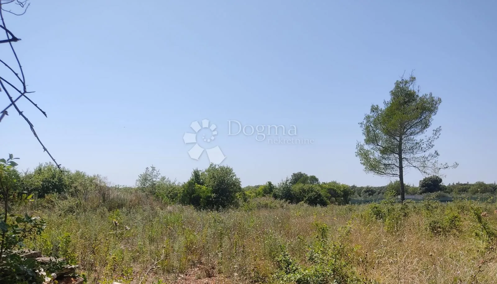 Fotografija