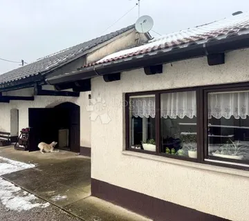 ŠAPJANE-SAMOSTOJEĆA PRIZEMNICA - cover