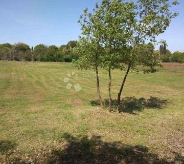 Poljoprivredno zemljište s maslinikom i vinogradom u okolici Rovinja 7.267m2 - cover
