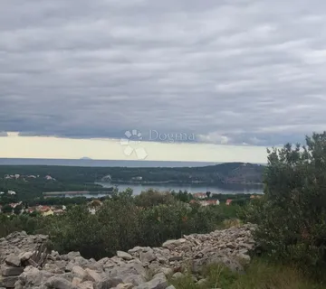 MASLINIK S POGLEDOM NA MORE MILNA BRAČ - cover