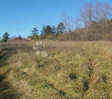 TRVIŽ, prostrano poljoprivredno zemljište - Trviž, Pazin