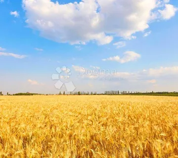 Poljoprivredno zemljište sa šumom i livadom – Trpuci - cover