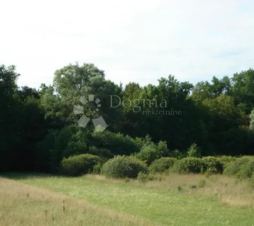 Poljoprivredno zemljište -Šuma 14.829 m2 - Manjadvorci, Barban