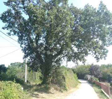 MIRAN RAJ na zemljištu površine 22 371 m2 (22,37 ha) dio GRAĐEVINSKI, Nedešćina - Istra! - cover