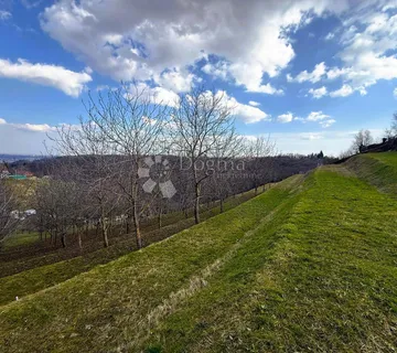 6495 m² prirodne ljepote - 16 terasa, 117 oraha i dva prilaza - Vinica Breg, Vinica
