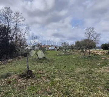 Građevinsko zemljište na samo 1,5 km od mora sa 6 stoljetnih maslinama - Šegotići, Marčana