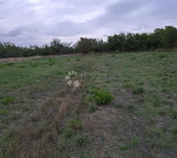 BENKOVAC - POLJOPRIVREDNO ZEMLJIŠTE 4000M2 - cover