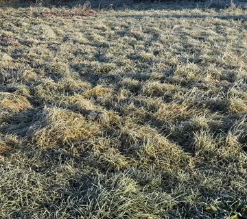 Stambeno-Poslovna Prilika! - Čakovec