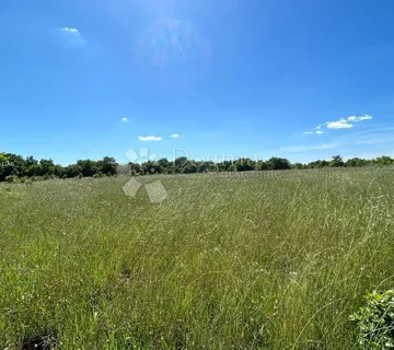 Šuma u Marčani: 17544 m² s Pristupnim Putem - Marčana