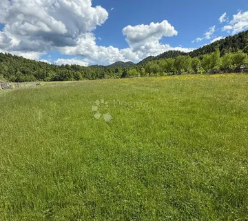 Teren Sunger - Gorski Kotar - Sunger, Mrkopalj