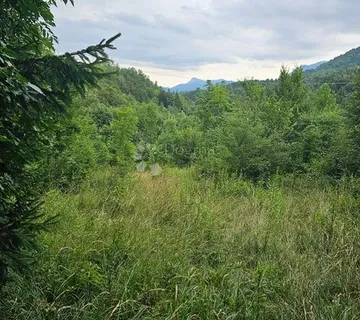 Vrbovsko, predivni tereni u šumskoj oazi - Jablan, Vrbovsko
