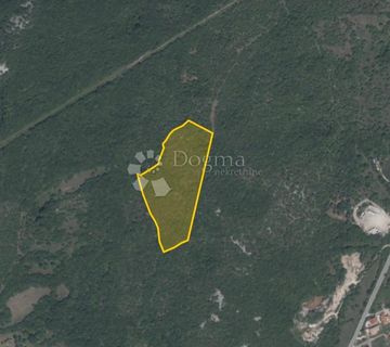 Šuma 20.557 m2 blizu Labina - cover