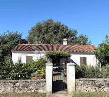 LABIN, okolica, kuća na prostranoj okućnici  - cover