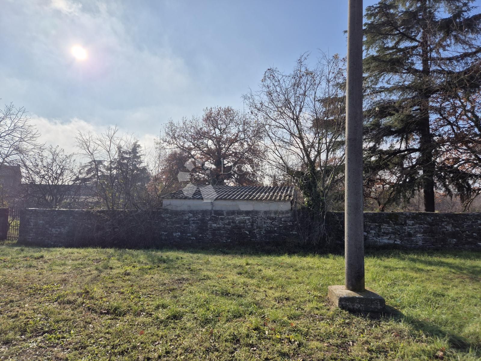 Fotografija