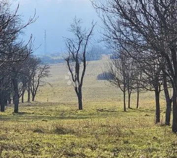 KUĆA NA TERENU OD 40952m2 - cover