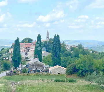 Draguć, veliko poljoprivredno zemljište, 11.030 m2 - Draguć, Cerovlje