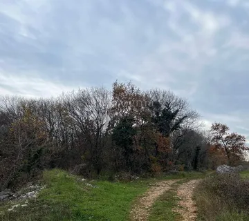 1,1 HEKTAR na rubu urbaniziranog područja! - Krnica, Marčana