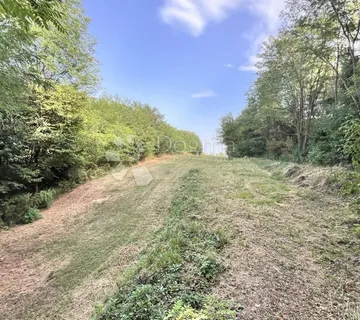Parcela 11.520 m² – spoj prirode i investicijske vrijednosti ! - Presečno, Novi Marof