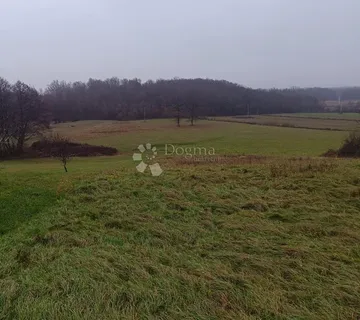 Kockasta parcela 8250 m2 - Bratina, Pisarovina