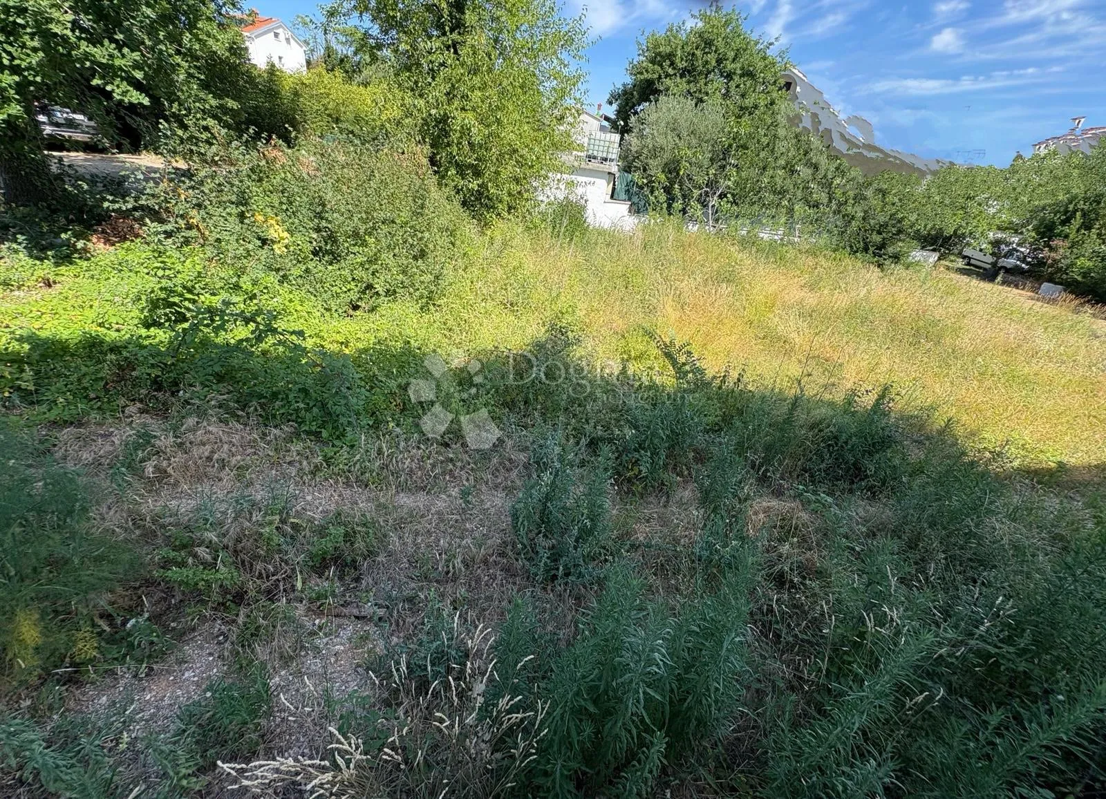 Fotografija