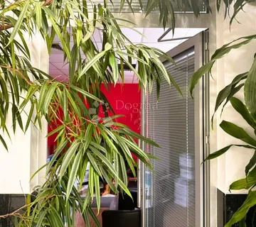 Vidljivost, lokacija i prilika! - cover