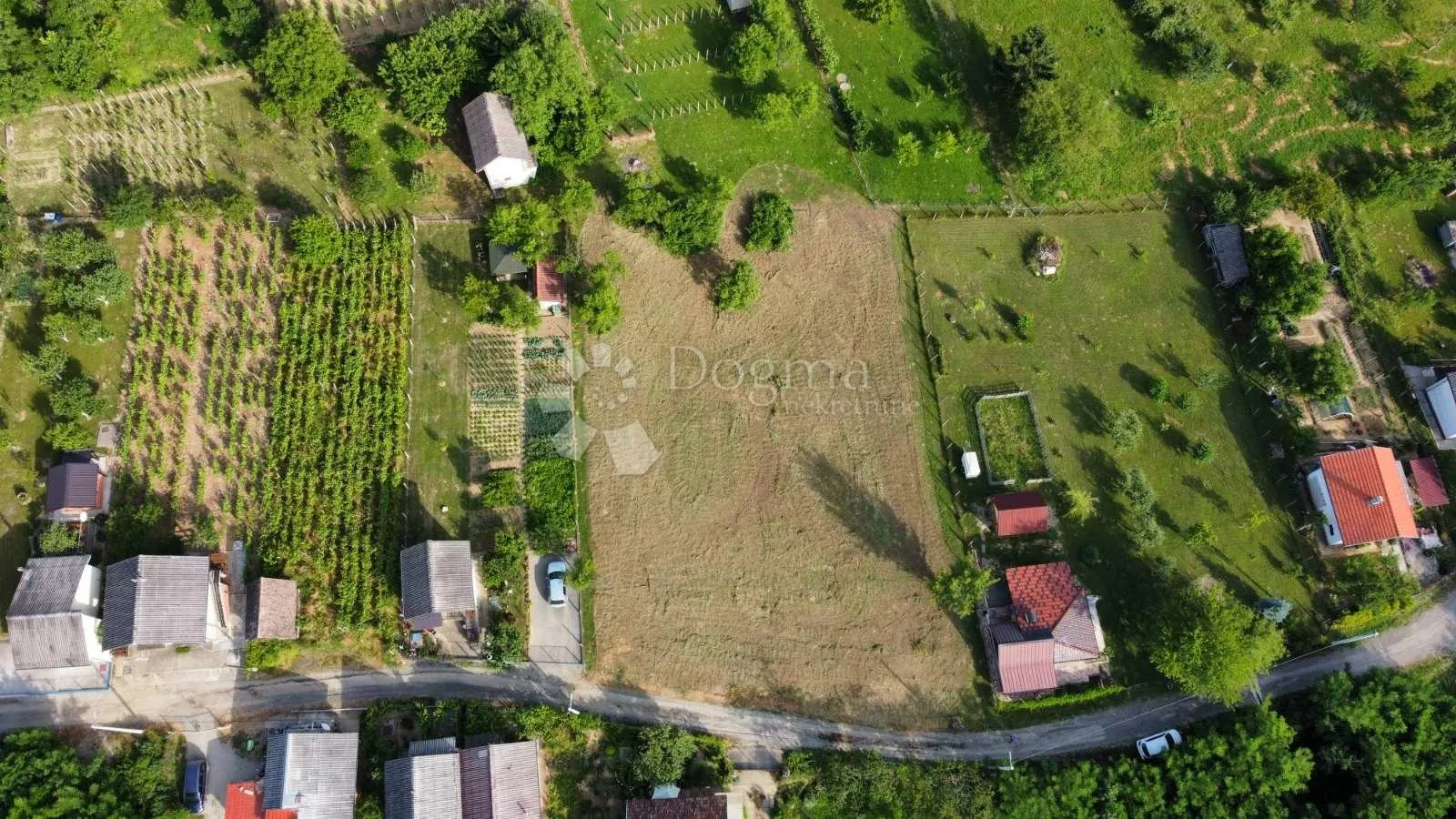 Fotografija