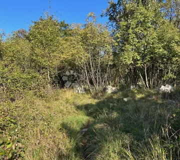 Terenčić sa pogledom na more - cover