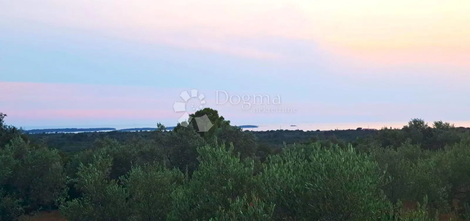 Fotografija