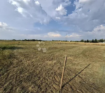 Rijetka prilika u Hrašćici - cover