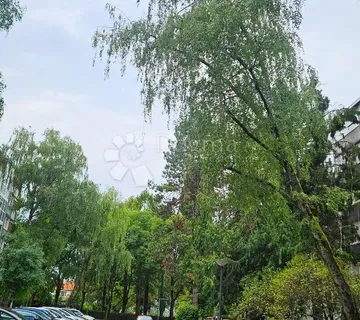 BORONGAJ, NOVOUREĐEN STAN - cover