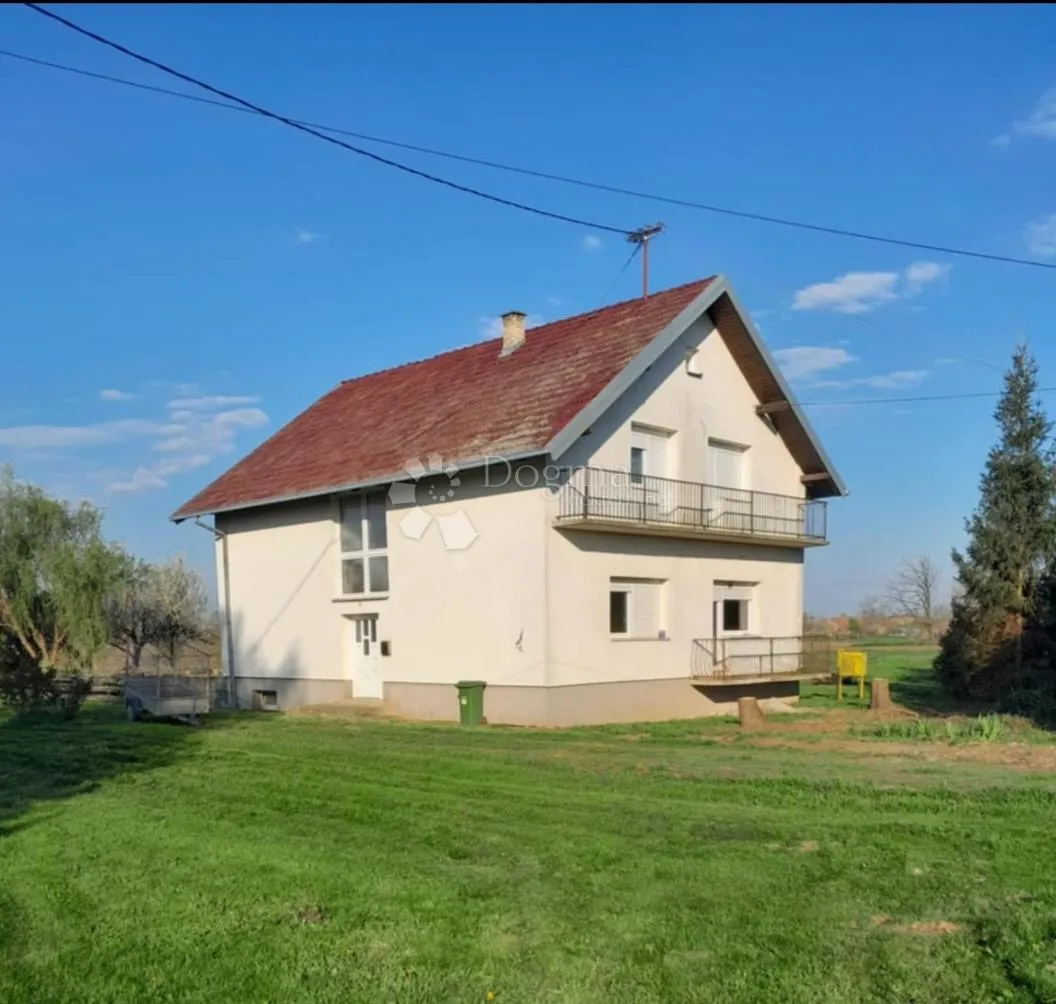 Fotografija