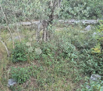 Poljoprivredno zemljište u Kalima - cover