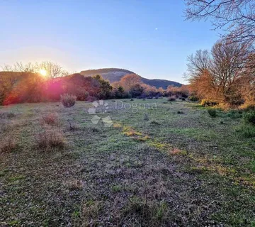 GLAVICA (SV. PETAR NA MORU) - POLJOPRIVREDNO ZEMLJIŠTE 3202m2 - cover