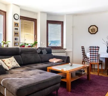 STAN MALEŠNICA - cover