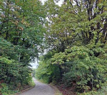 Drvena kuća i izvor u šumi - cover