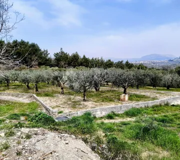 Građevinsko zemljište s maslinikom - Kamen - cover