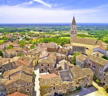 Prekrasno zemljište sa 100 maslina - Poreč okolica - cover