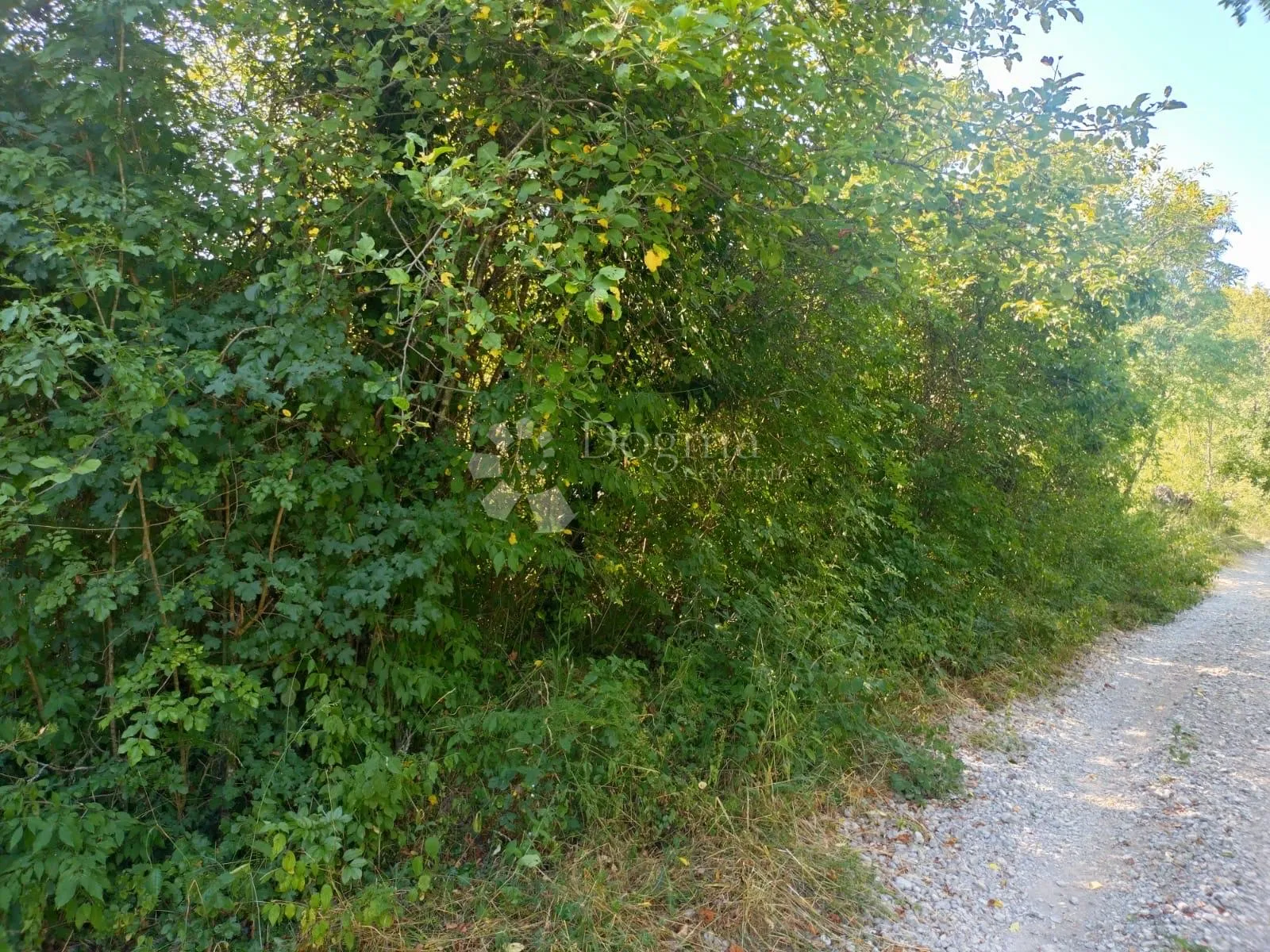 Fotografija