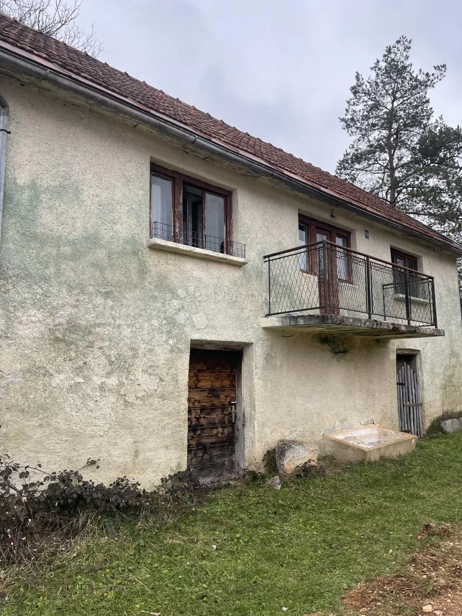 Fotografija
