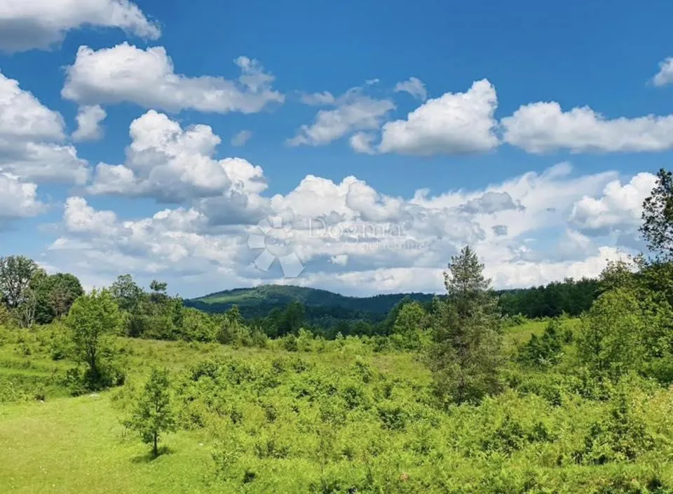 Fotografija