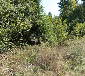 RIJETKA PRILIKA Gorski kotar, Delnice 10.500 M2 ZEMLJIŠTE za 9 A-FRAME vikendica  - cover