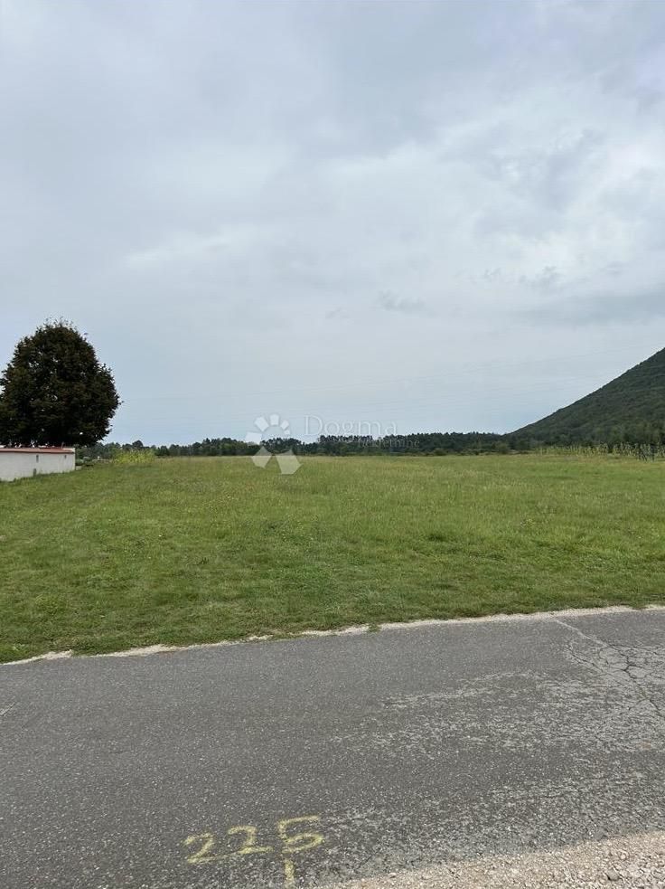 Fotografija