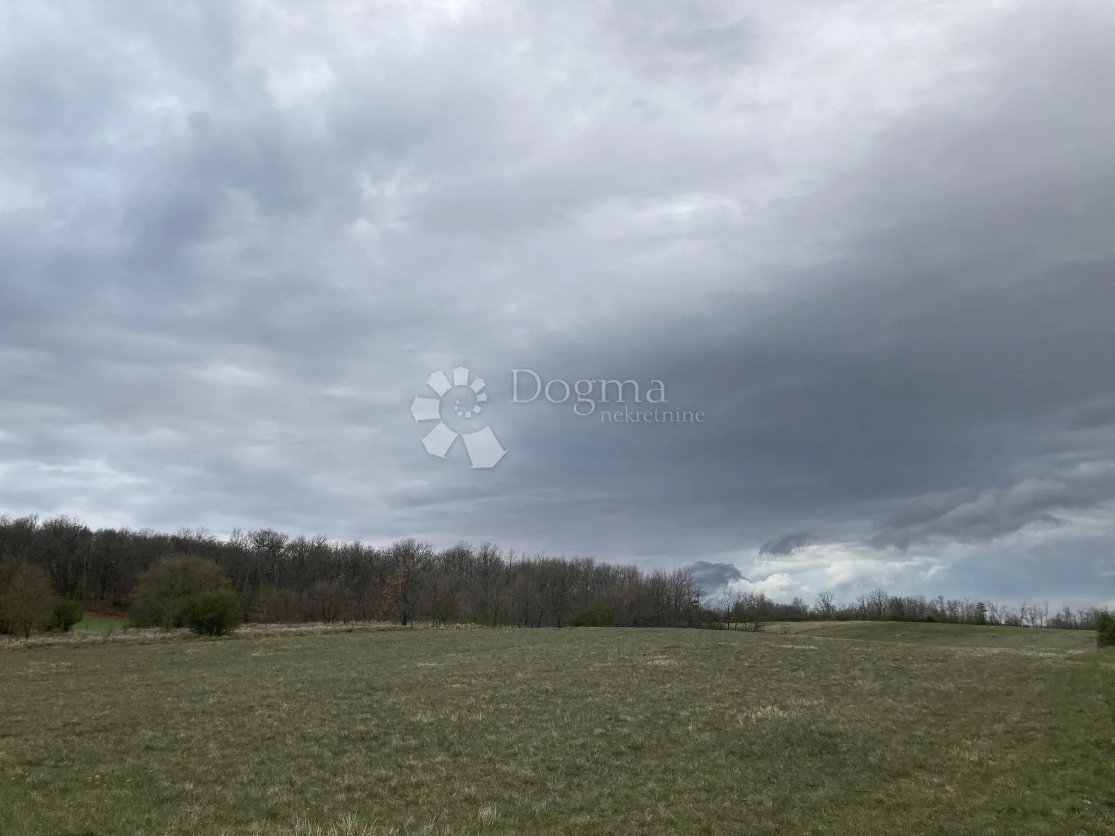 Fotografija