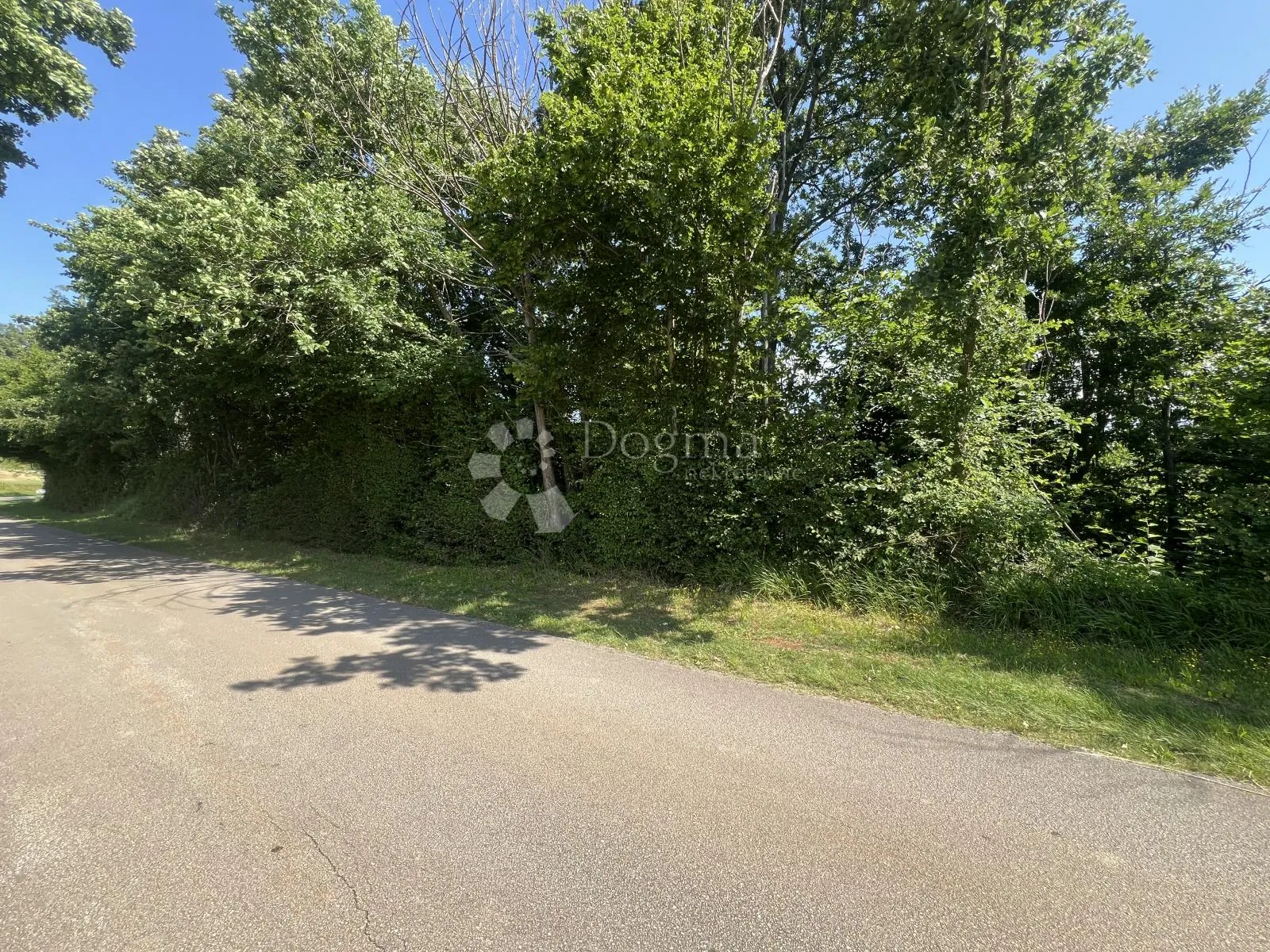 Fotografija