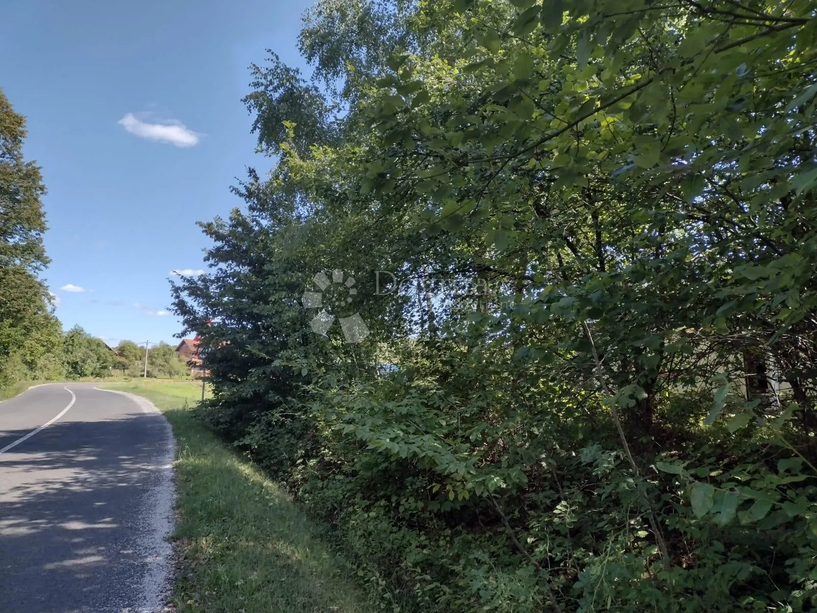 Fotografija
