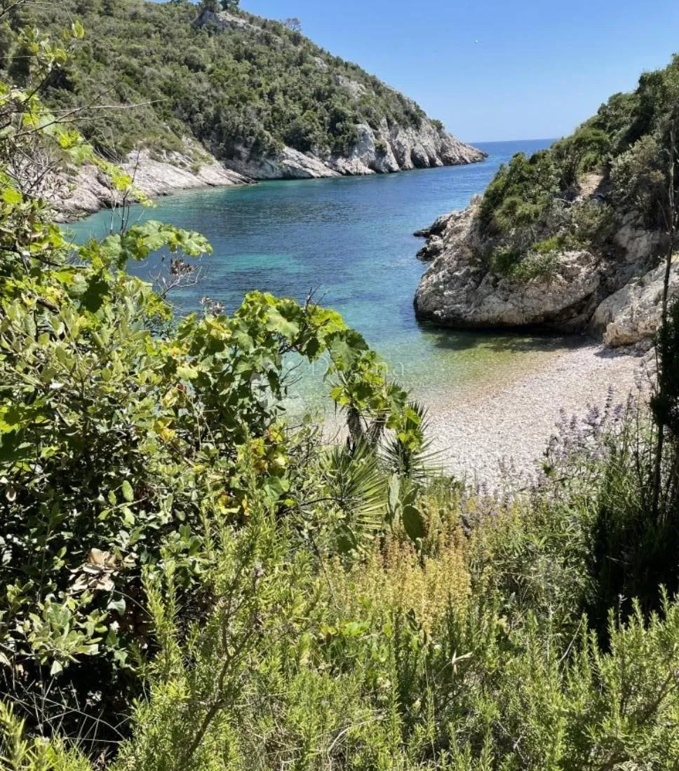 Fotografija