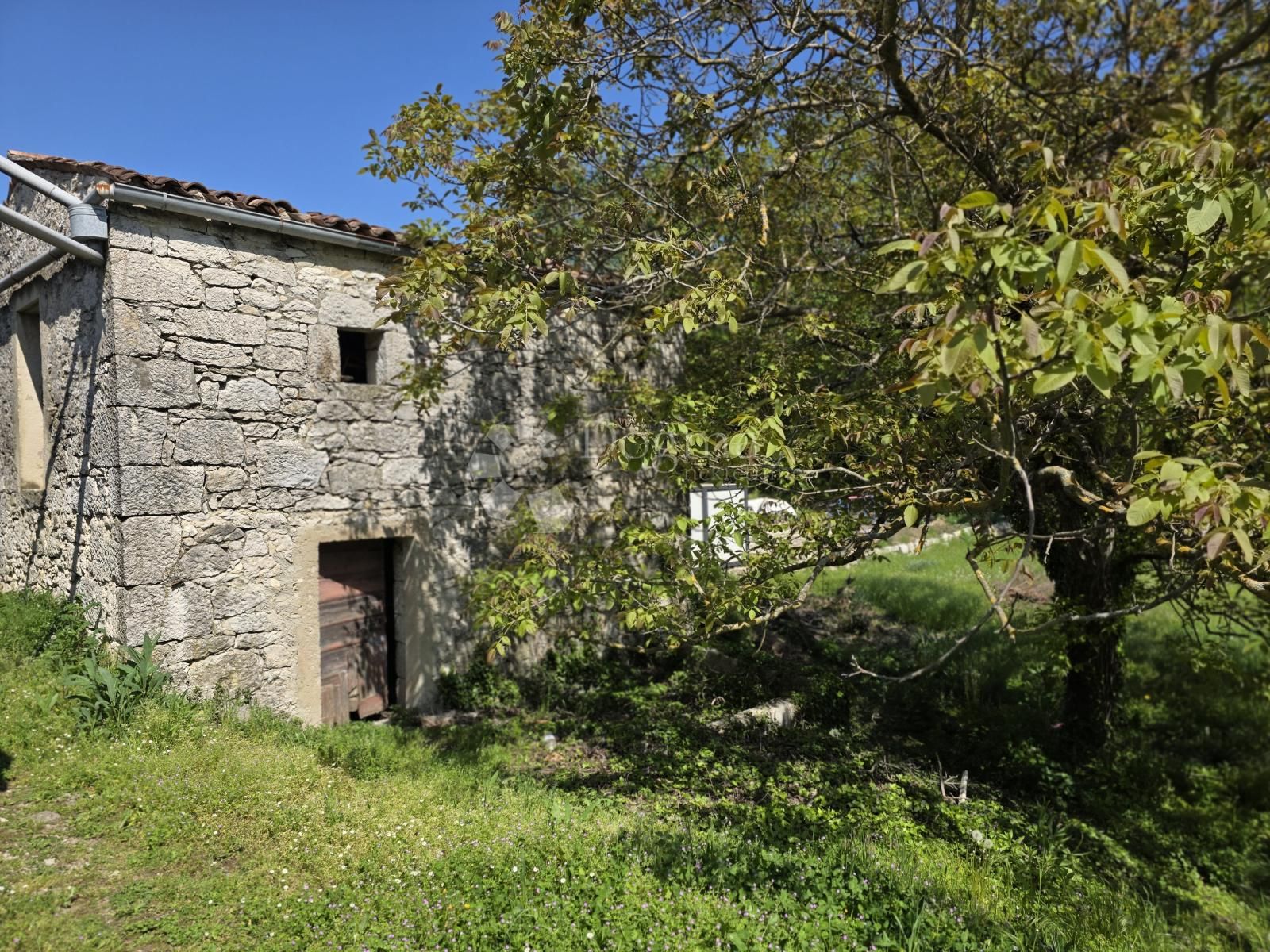 Fotografija