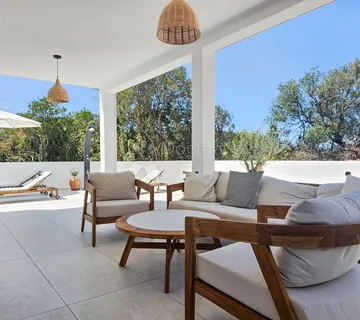 Dugi otok, vila s bazenom - cover